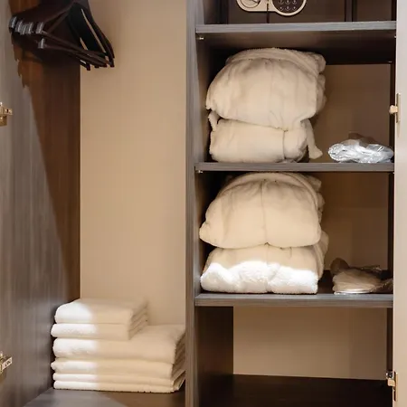 Budz карпати * 布克维