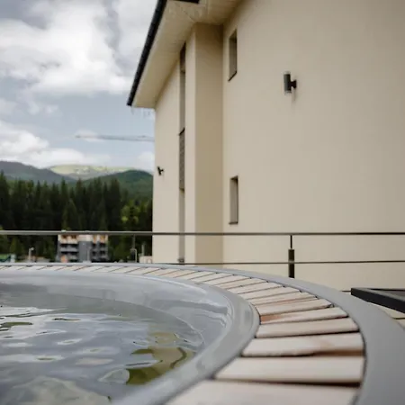 Budz карпати * 布克维